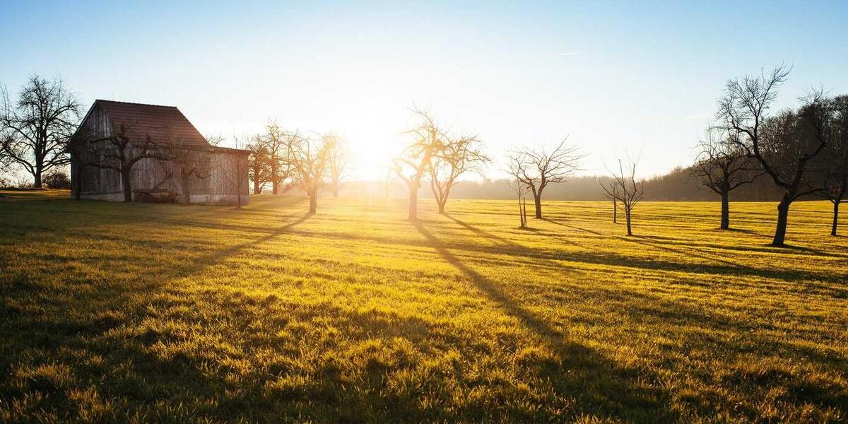 Best Cabin Magazines: Where to Find Inspiration & Plans