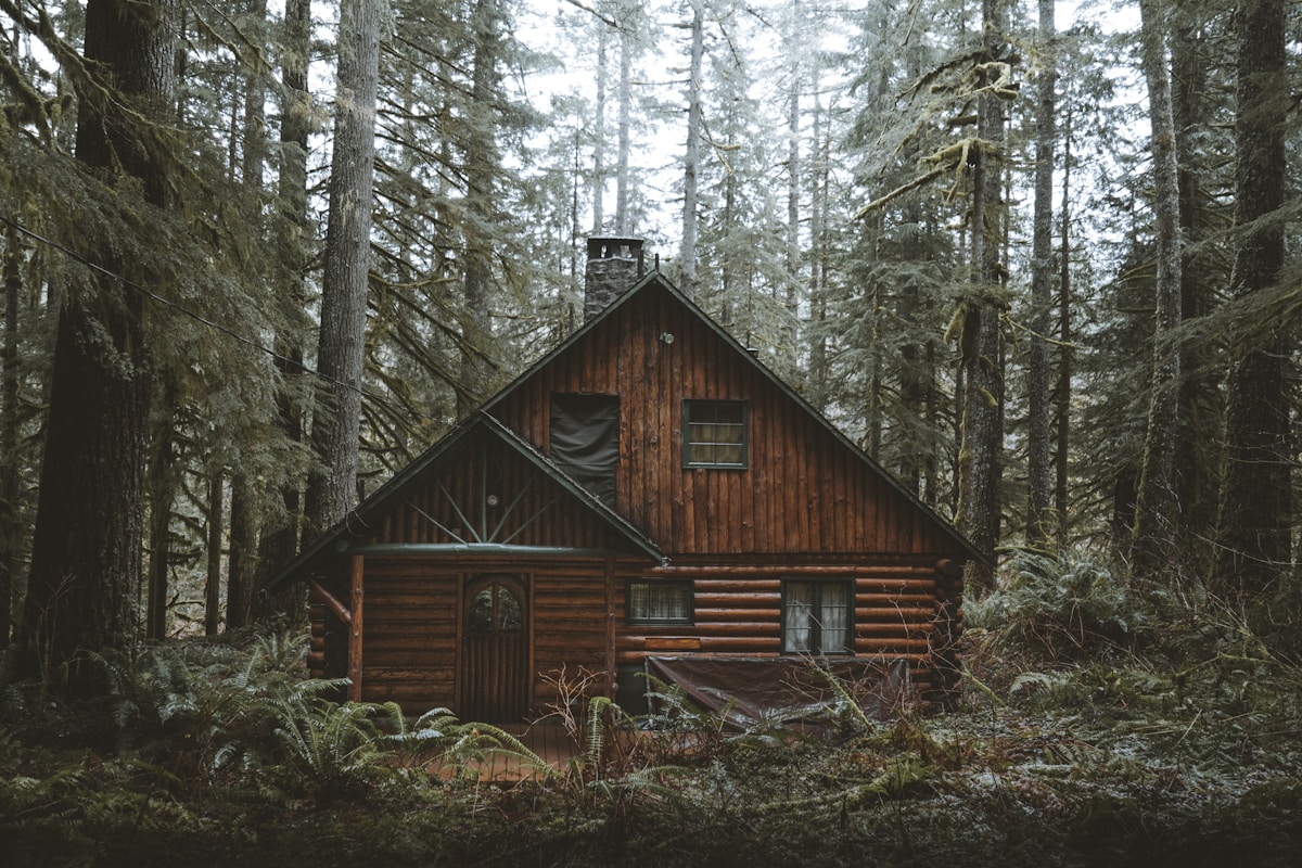 10 Best Books for Cabin Owners & Off-Grid Living Enthusiasts